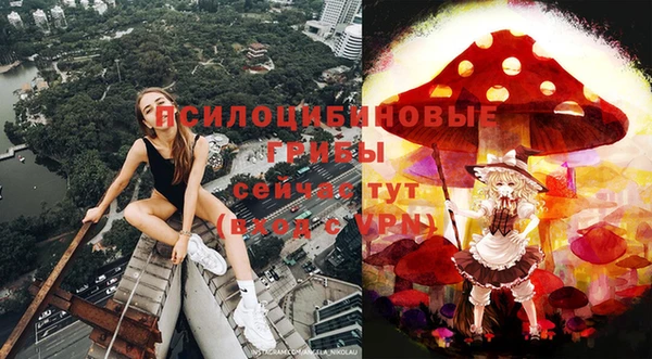 прущие грибы Алексин