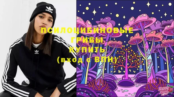 прущие грибы Алексин