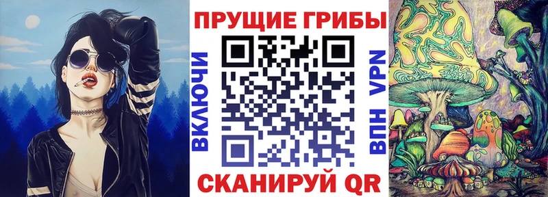 kraken зеркало  Чёрмоз  Галлюциногенные грибы Psilocybine cubensis 